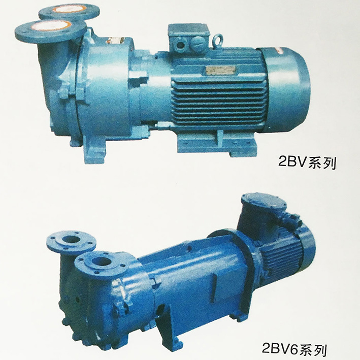2BV系列水环式真空泵