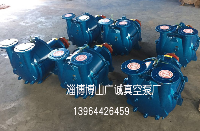 分体2bv5161水环真空泵